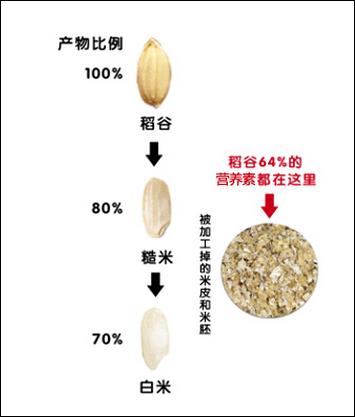 稻米脱壳过程示意图