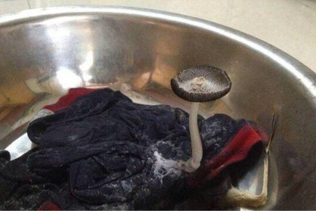 fun来了171214:小偷专偷大学生 因为老人丢东西会上火