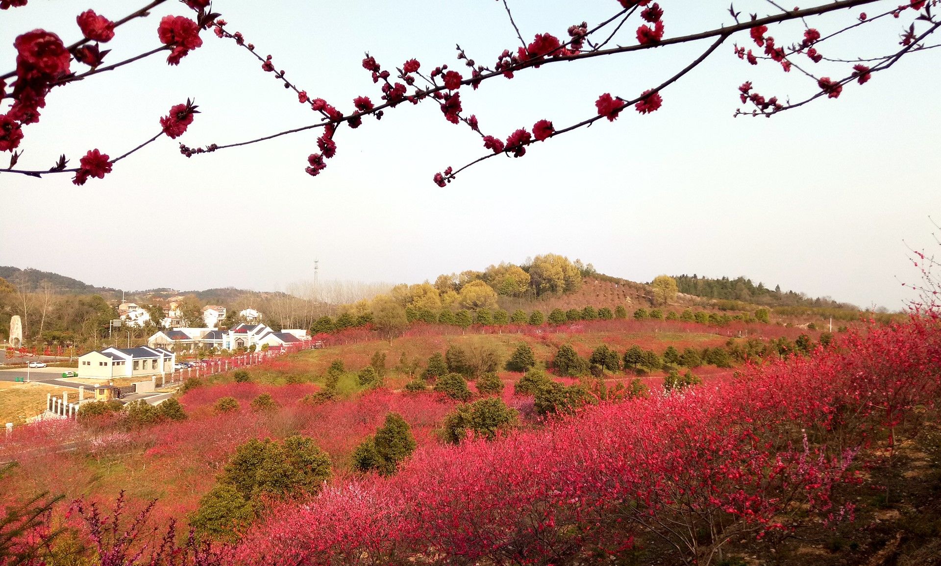 木兰旅游谱新篇最美花谷四月天