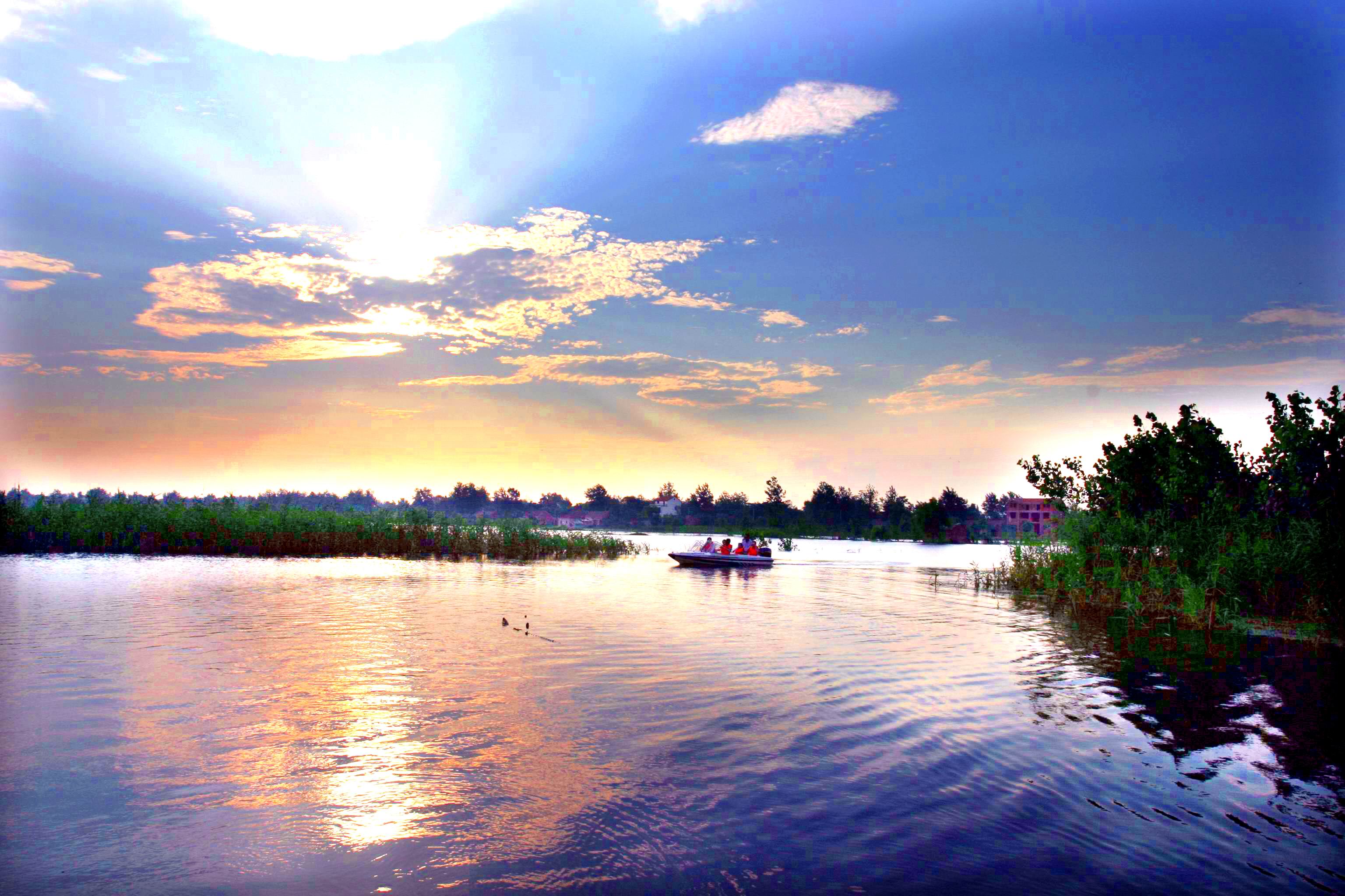 淮南焦岗湖国家湿地公园首届龙虾美食季即将开启_安徽频道_凤凰网