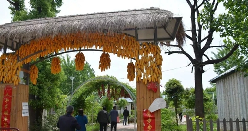 片片花海,阵阵花香 西峡丹水镇陈河坡美得让人移不开眼