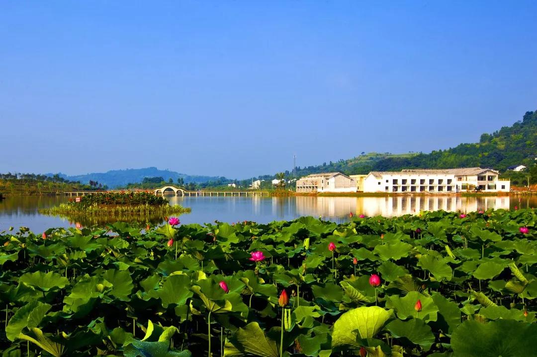 绝美大片点映铜梁2018重庆小姐超级大赛即将开启