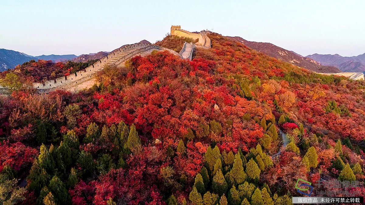 正文 1/4 10月16日,北京八达岭国家森林公园红叶岭风景区进入最佳观赏