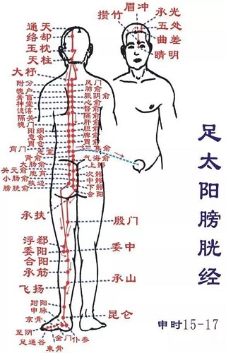 痔点准确位置图和作用图片