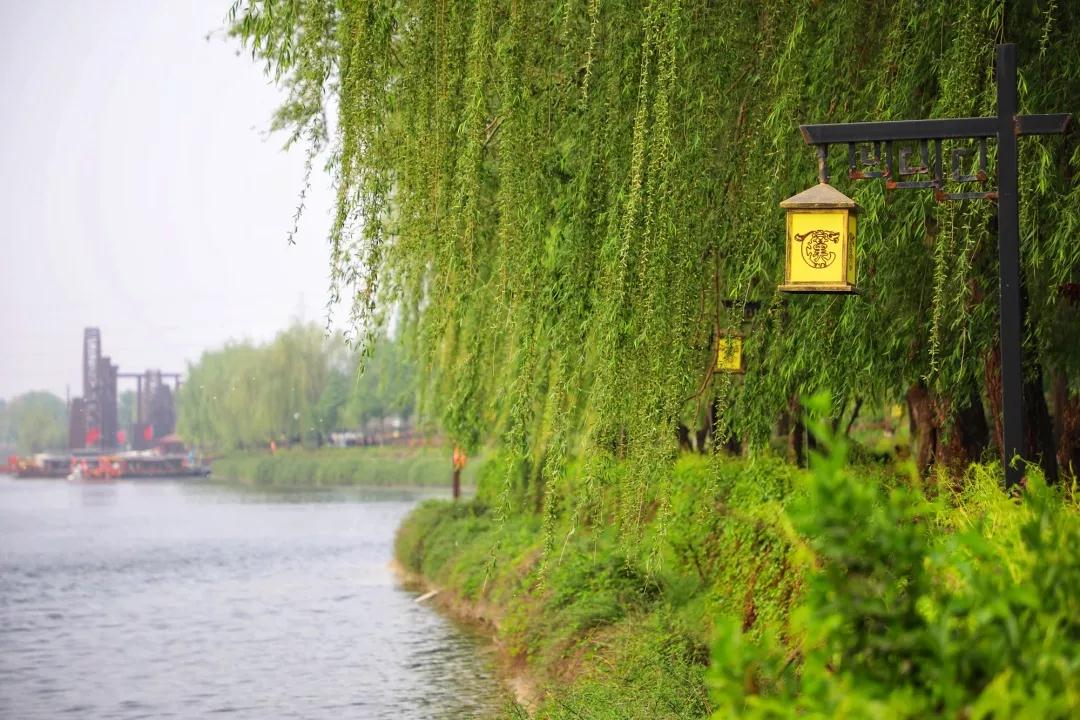 打卡未央|不负春光,带着诗意去春游 ——汉城湖畔