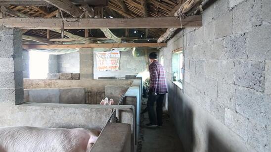 从贫困户到致富带头人失明30年他用双手找到光明