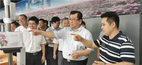 亳州市长杜延安调研安徽花吟姿公司鼓励王品武创新发展芍药花产业