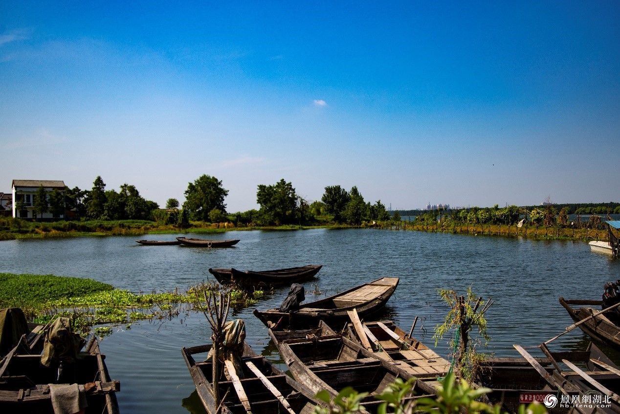 凤凰网全媒体行走进黄陂黄花涝村:迎军运 千年古村焕新容_重庆频道_凤