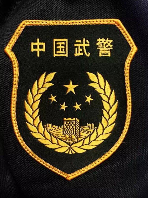 武警军旗臂章图片