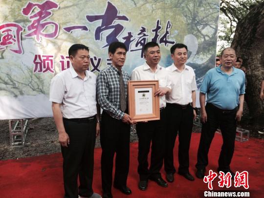 江西牛田古樟林入选上海基尼斯之最