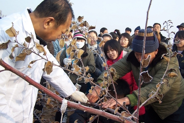 李保国:用生命书写太行传奇 用大爱彰显最美风范
