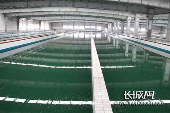 餐饮人员一边抽烟一边在地上清洗餐具！深圳一地铁站被曝杂乱差最新回应