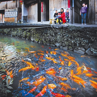 图为鲤鱼溪一角