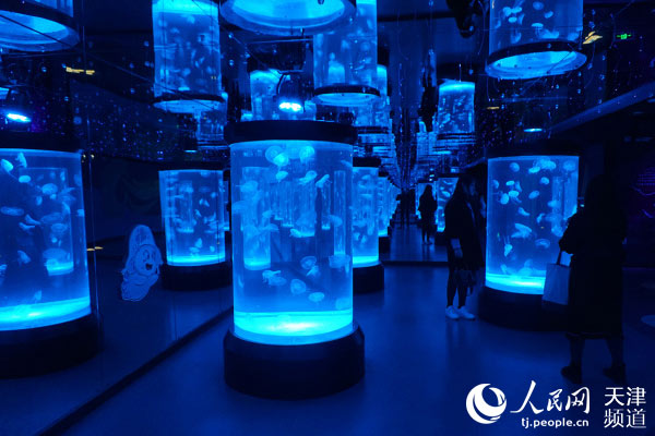 未来水母馆正式营业