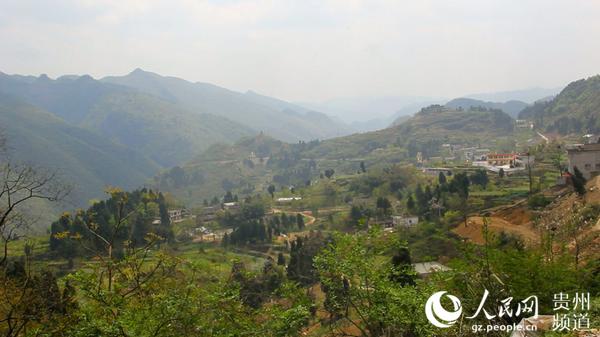 图为团结村草王坝村民组地貌.涂敏 摄