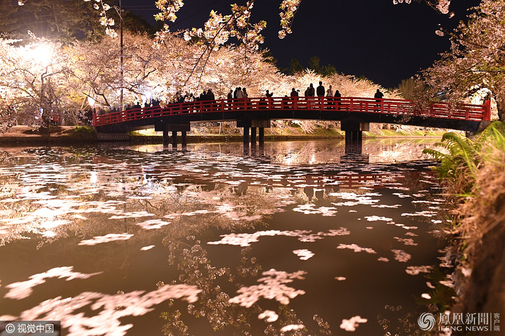 夜间赏樱日本弘前城堡公园樱花盛放