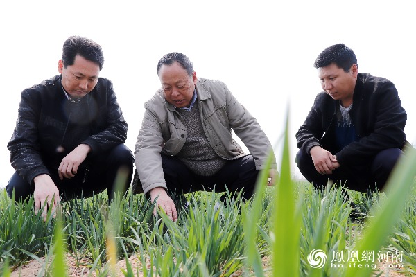 打工,不用出门,在家门口就能挣到一笔收入,这都得感谢俺村的徐庆彪,在