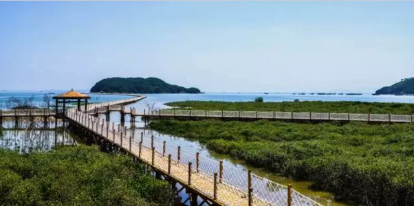 到海陵島參加南海(陽江)開漁節!_海南頻道_鳳凰網