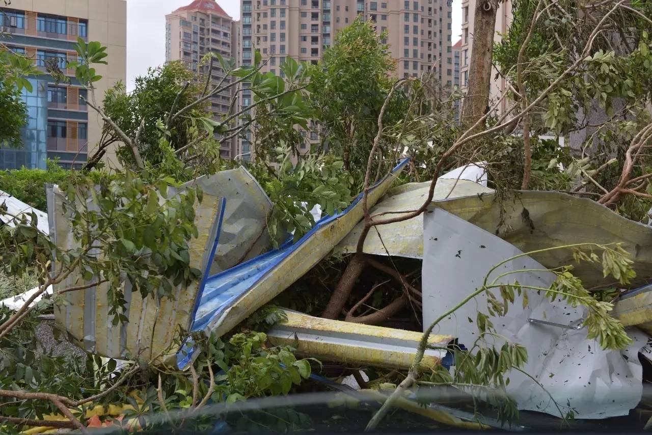 台风"天鸽"已致16人遇难!这些地方今天下午有暴雨