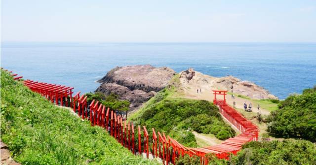 就是在澀谷區代代木的八幡宮公園