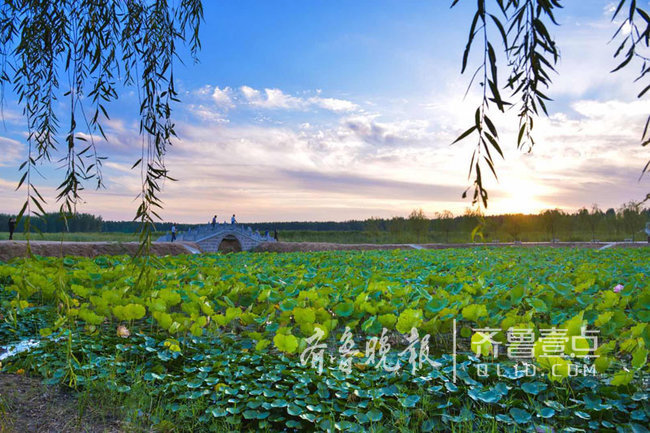 东明黄河湿地公园升级为国家级别系菏泽首家
