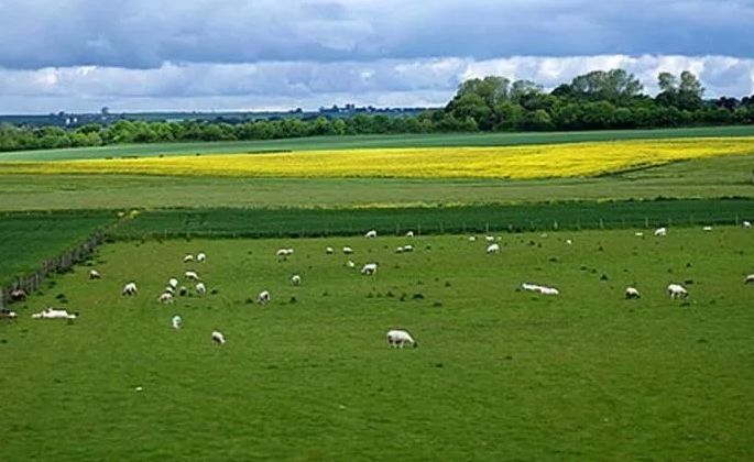 久长镇苏格兰牧场美食小贴士:鸳鸯酥,扎佐蹄膀第13和14站:贵阳站75