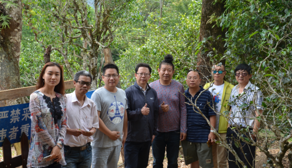 策划的《倾听一片叶子的故事╠╠单株先生品牌成长记实》即将出版上架