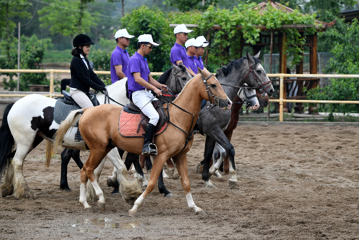 汗雪宝马惊现西安北郊马场 策马追风感受马术魅力