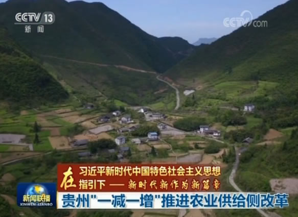 贵州“一减一增”推进农业供给侧改革_凤凰网资讯_凤凰网