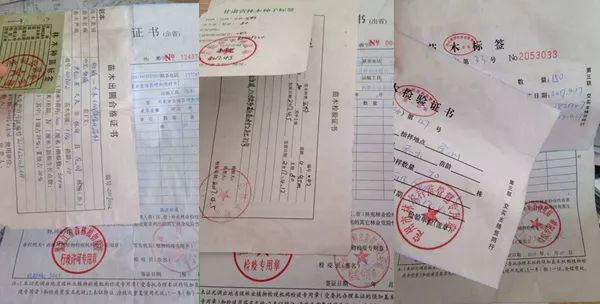 (苗木"两证一签"档案)