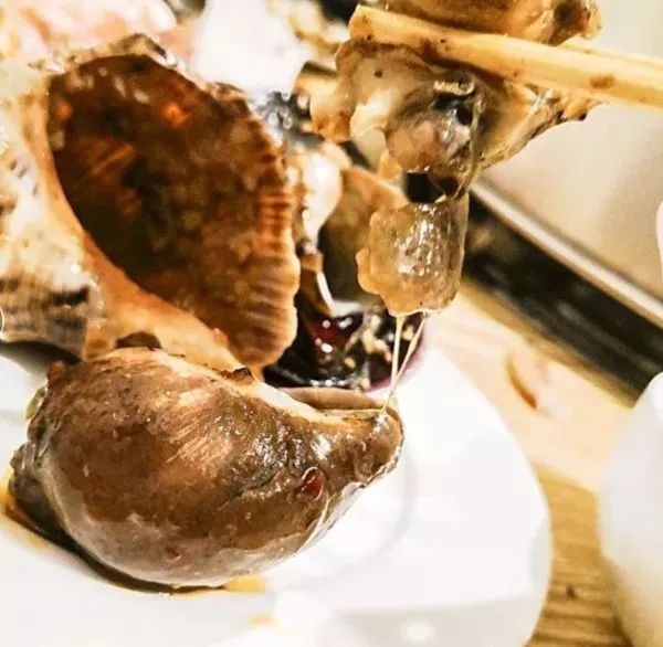 梭子蟹 水泡蛾螺