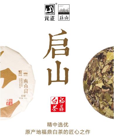 1095天的等待只为这一刻福鼎白茶元正启山盛典