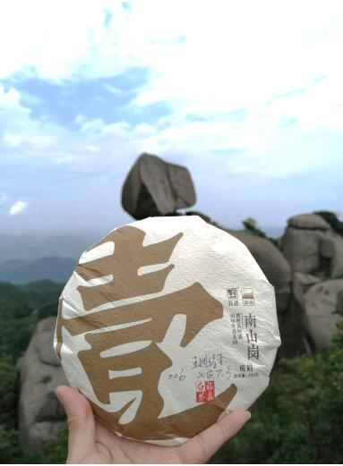1095天的等待只为这一刻福鼎白茶元正启山盛典
