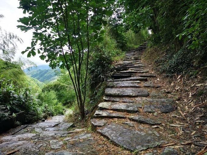 黄山市箬岭古道被评为中国最美森林古道