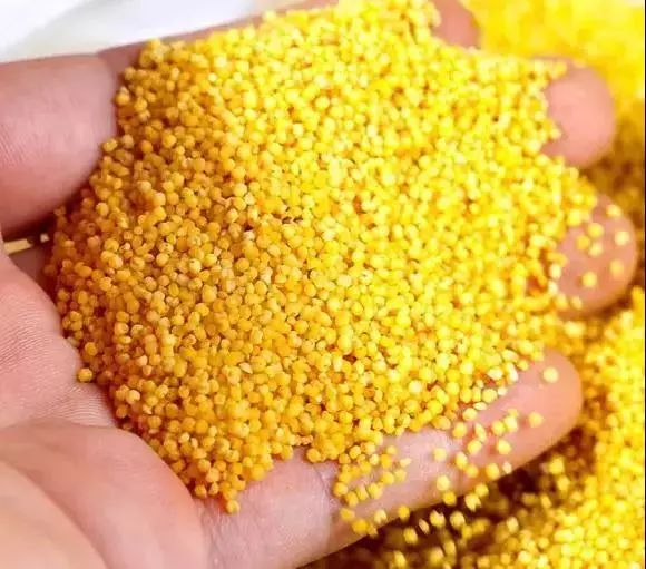 山西这4地上榜中国特色农产品优势区,来看看有你的家乡吗?