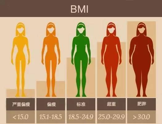 女性bmi指数与身材对比照