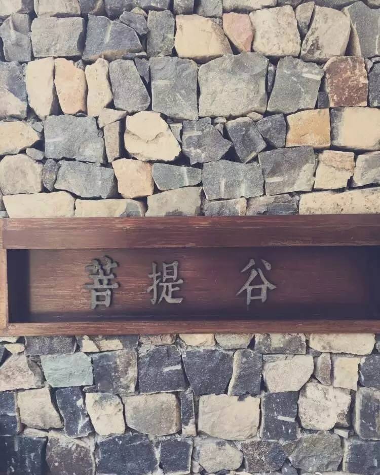 菩提谷