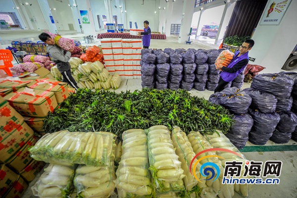 海口公益性大型农副产品批发市场试营业 39家一级批发商入场