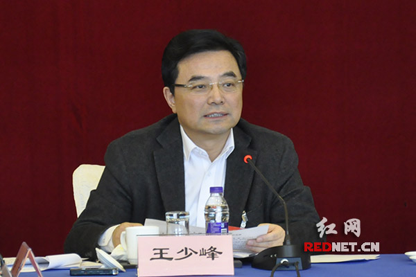 王少峰参加政协联组讨论 立足岗位奋发作为