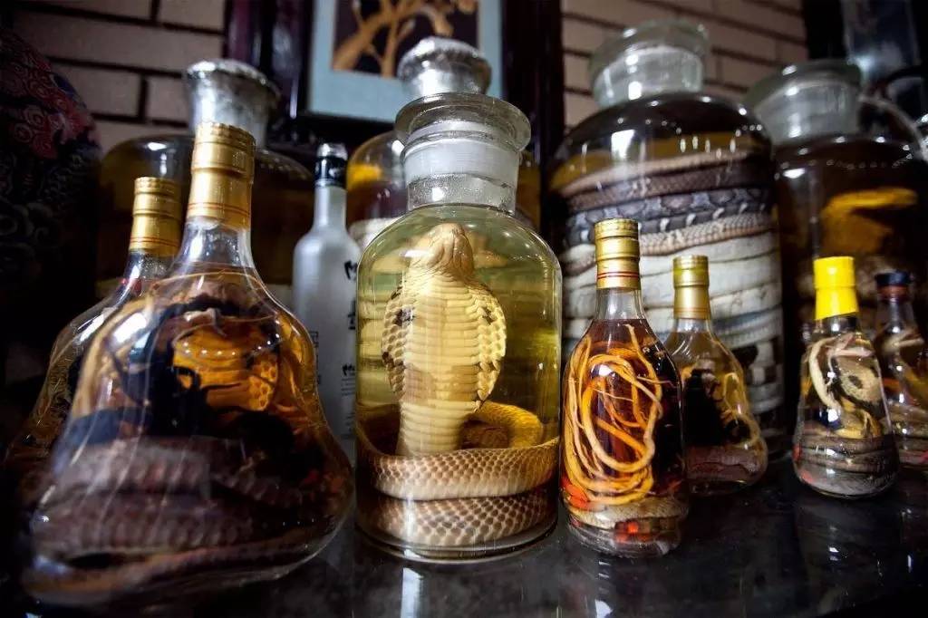 赏味 蛇和酒精结合的一种饮品 在中国传统的中医里 蛇酒有很高的有