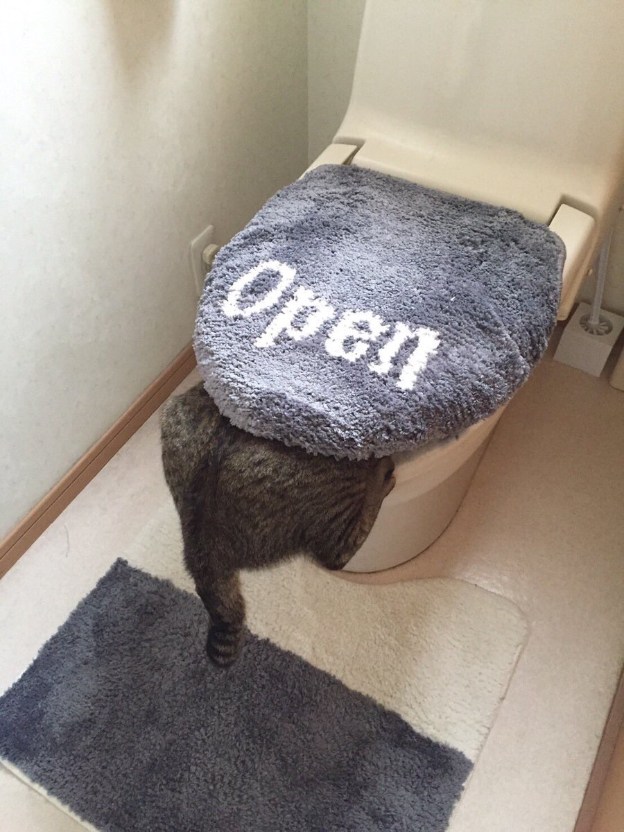 让你open你没看到吗?护驾护驾!
