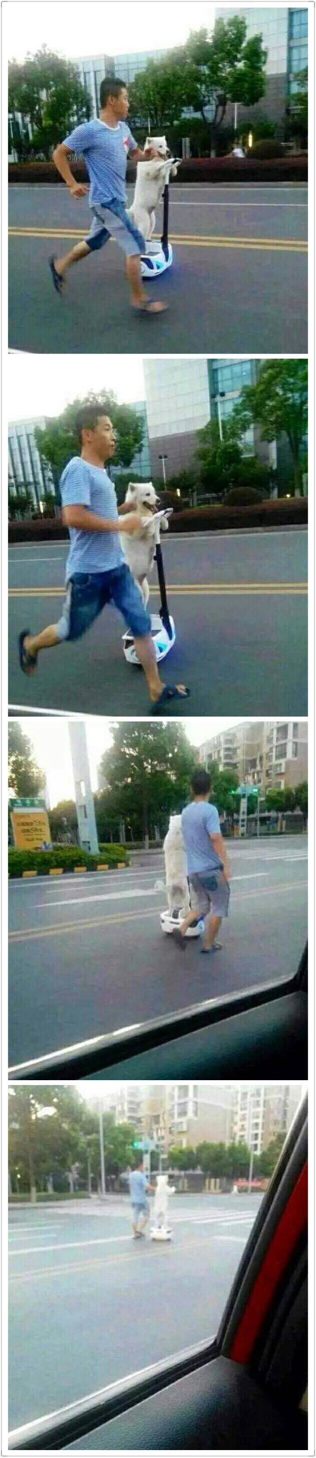 陪练技能满点