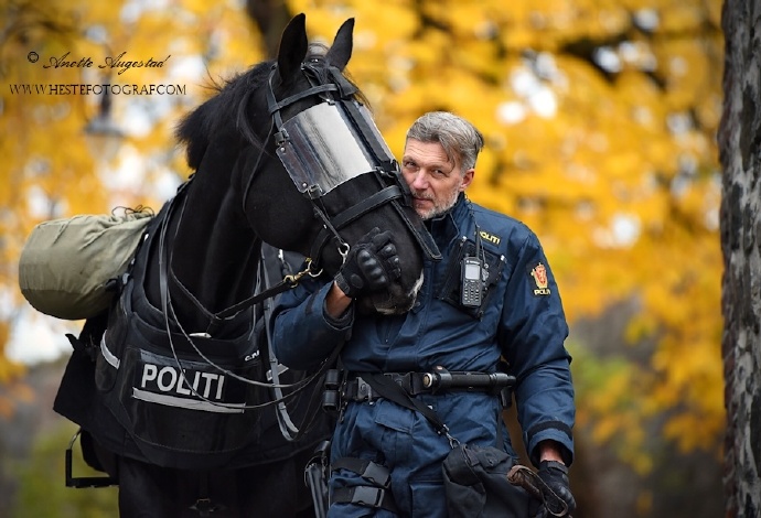 最近在网上很火的挪威骑警大叔rolf eriksen,和他的爱马tyr.