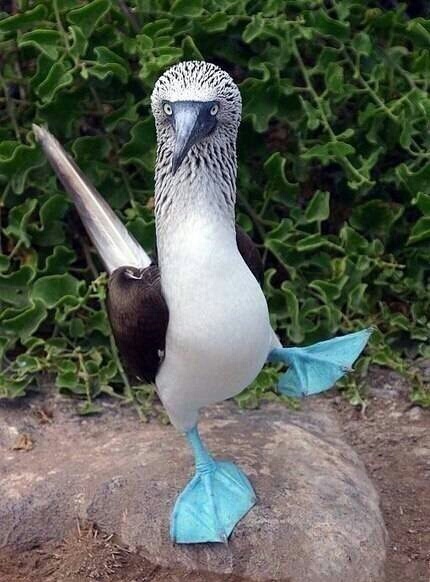 有人说这是张继科