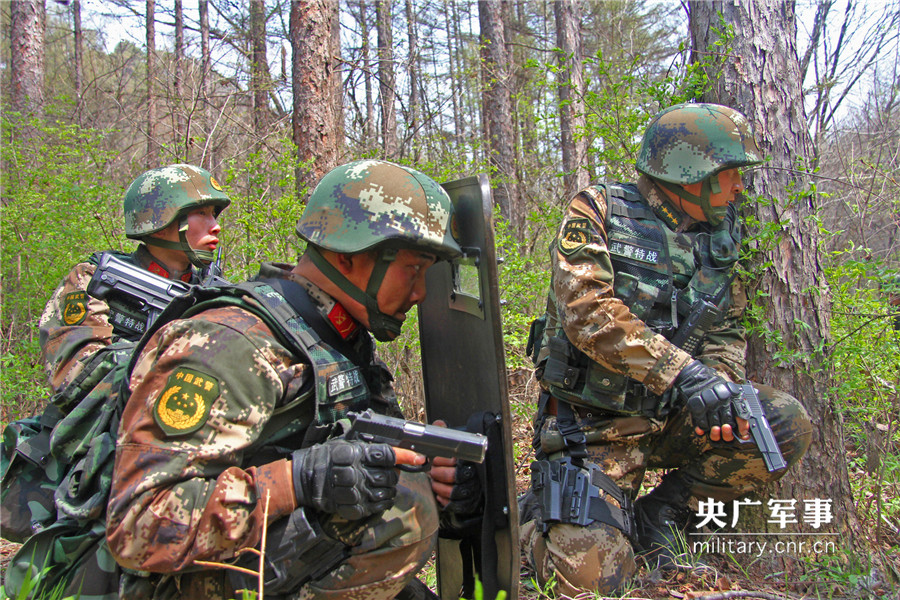 武警抚顺支队特战分队深山密林谋打赢