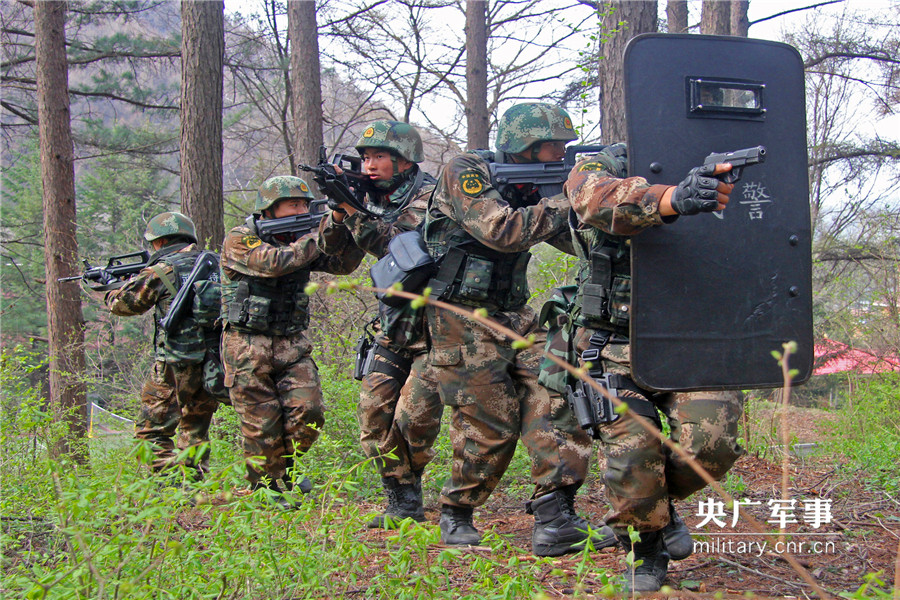武警抚顺支队特战分队深山密林谋打赢